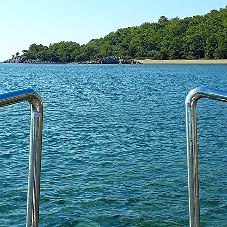 Dolphin Hotel 4*