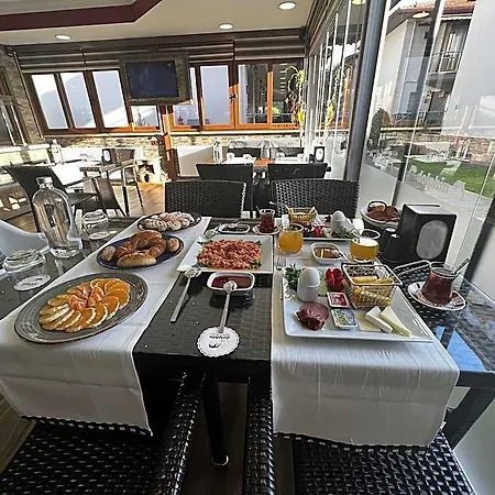 Dolphin Hotel 4*