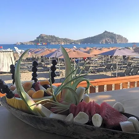 Hotel Dolphin 4*